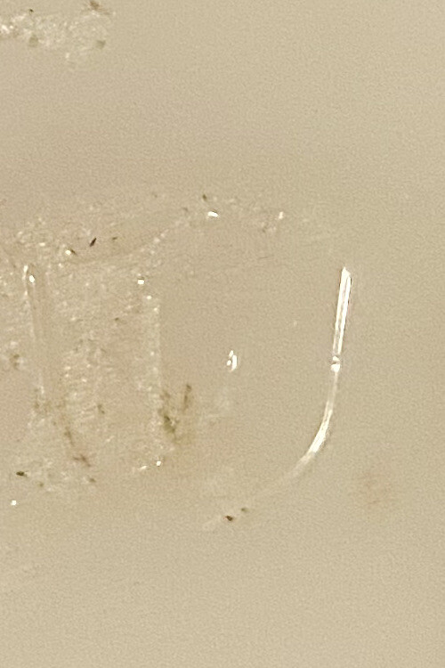 Picture 8 of 10