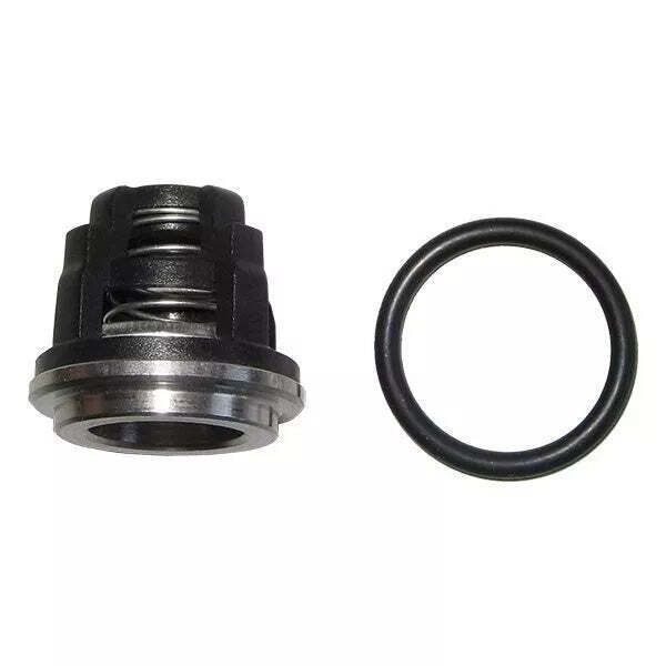 VALVOLA DI RITEGNO A Palla Filettata 2" Per Elettropompa Lowara Pedrollo Zenit EUR 122,00