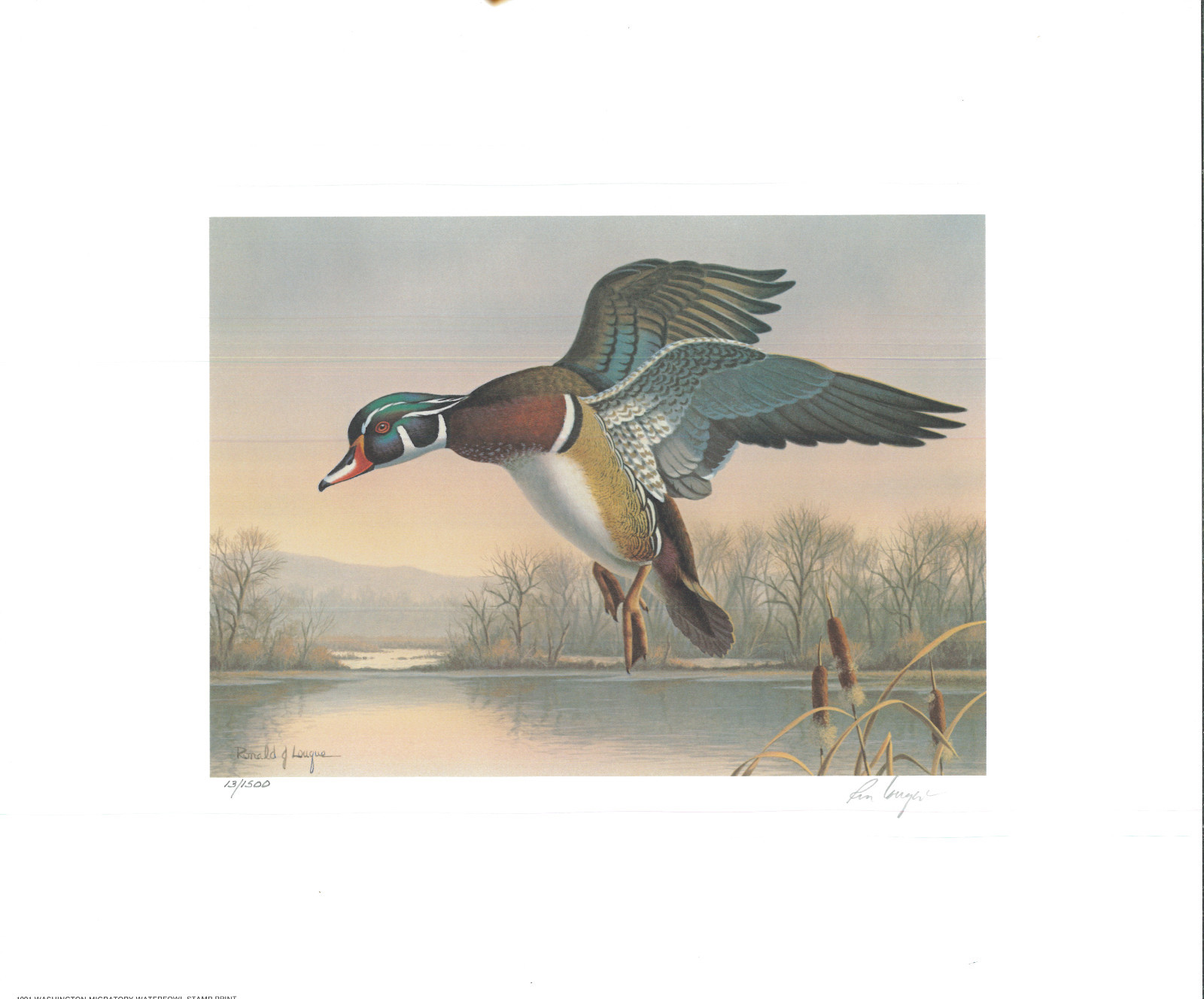 WASHINGTON 6 1991 STATE DUCK STAMP PRINT WOOD DUCK BY rONALD lOUQUE eBay