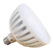 ColorSplash LXGW LED 120V RGB and White Pool Light Bulb J&J Electronics (26031)