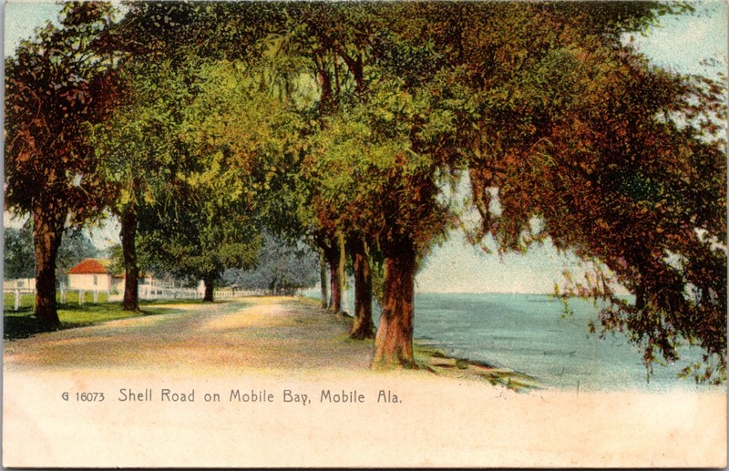 SHELL ROAD on MOBILE BAY Alabama Postcard Horseshoe Pretty Scene UB