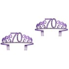  2 Pieces Birthday Crown Hair Accessories Banquet Women Girls Tiara for