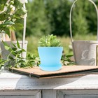 10 Pcs Planter Box Succulent Flower Pot Container Plastic Pots