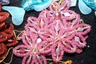 Lot of Christmas Ornaments Beaded Snowflakes Fish Mermaid Shell Crown Holiday — photo 2
