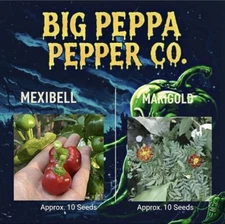 COMPANION PLANTING SEED BUNDLE [MEXIBELL & MARIGOLDS]