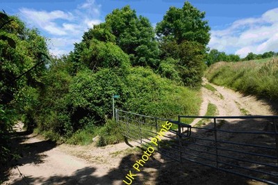 Foto A2 Trense ab Sandpits Lane Randwick Der Trenseweg führt am Ort C2016 nach oben