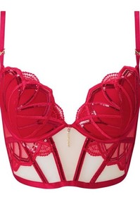 Ann Summers Desiring Decadence Corset Size 16 D/DD Red RRP &pound;48