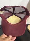 Foto 7 di 10