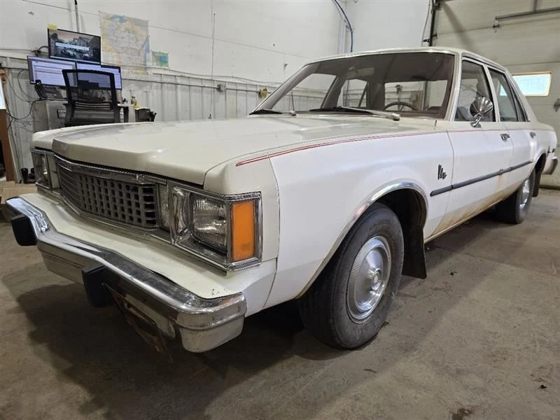 Driver Left Side View Mirror Manual Fits 78-88 HORIZON 598916 - Image 3 of 4