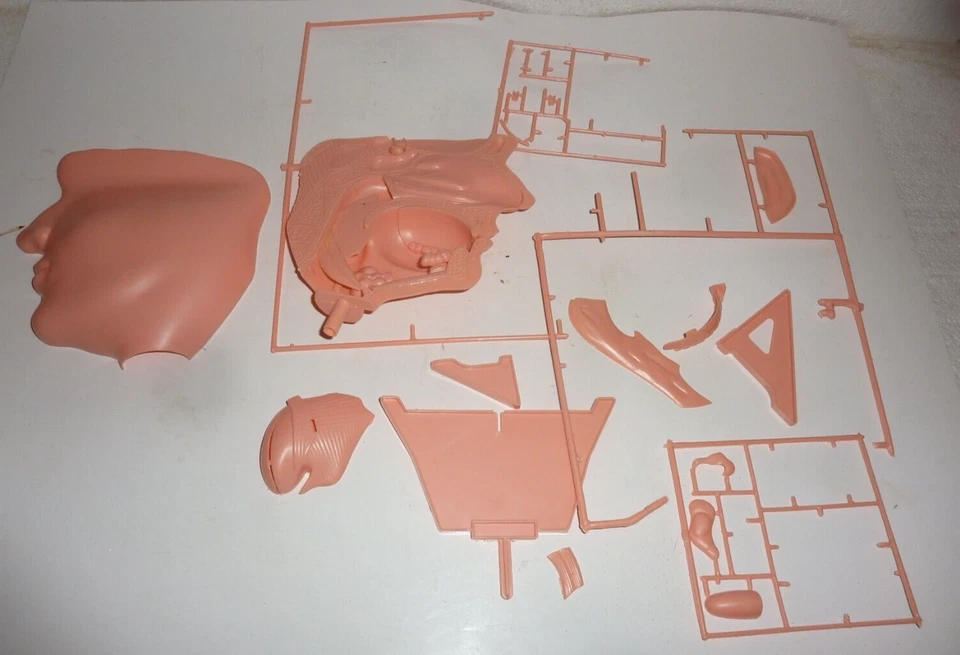 Vintage 1968 Pyro Nose Mouth Anatomy Life Size Model Kit Unassembled - Image 4 of 4