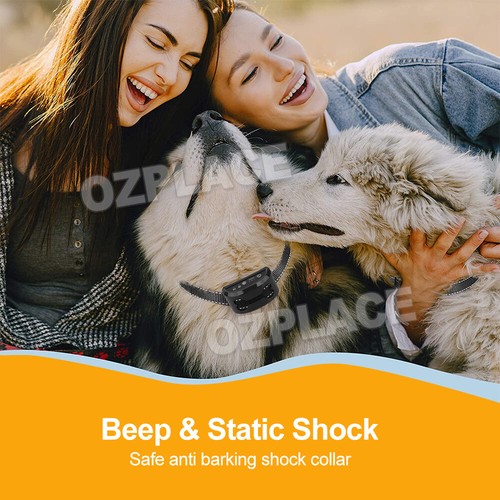 Auto Anti Bark Dog Collar Rechargeable Stop Barking Non-Shock Humane WaterproofA - Picture 10 of 10