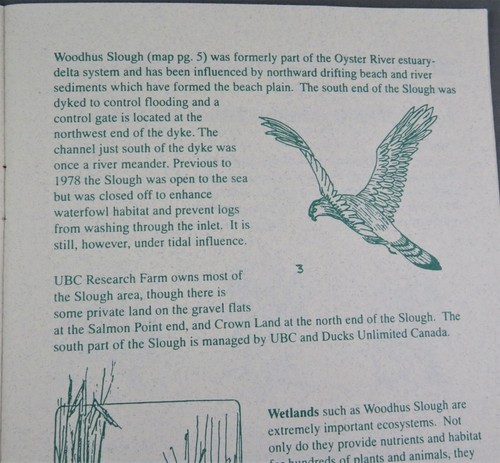 A NATURE GUIDE TO WOODHUS SLOUGH (1995) RARE title SCARCE SIGNED by Betty Brooks - Picture 5 of 7