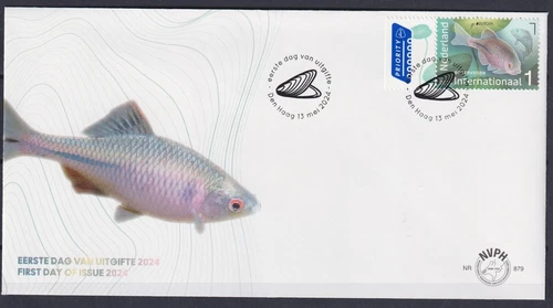Netherlands 2024 Europa CEPT, Underwater Fauna, Fish FDC