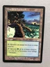 Mtg Carte Magic Apocalypse Yavimaya Coast French LP