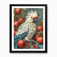 Default Cockatoo And Pomegranate Bl Framed Wall Art Poster Canvas Print Picture