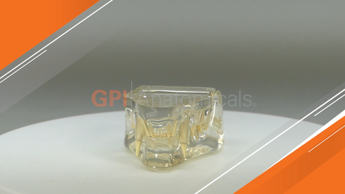 Feline CLEAR Teeth Jaw Anatomical Model wKey LFA#9191 Make Us An Offer SEE VIDEO - Video 1 of 1