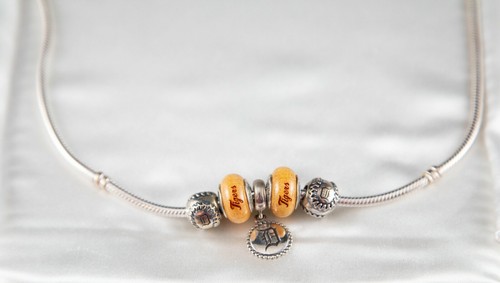 New Jared Authentic Pandora Detroit 
