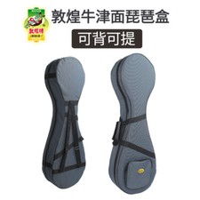 PIPA HARD CASE -- 琵琶硬盒