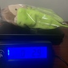 Picture 15 of 15