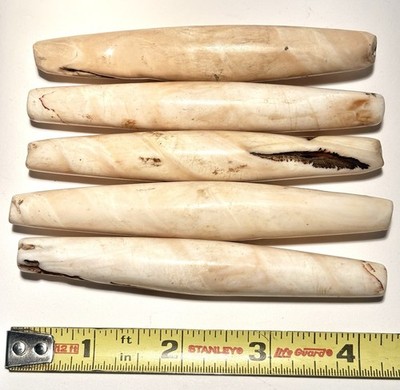 4.25  Cylindrical Conch Shell Beads Nagaland India 2mm Hole Vintage Set Of 5
