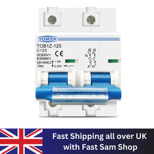 2P DC MCB 600V 125A 100A 80A Circuit Breaker for PV System C Curve Battery Main