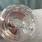 ATLAS EZ Seal Clear Glass Jar with Glass Lid, 1/2 pint , Vintage Style,  — photo 4