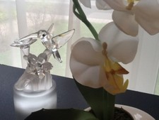 Swarovski Figur Kristall 166184 Kolibri 7 cm  Top Zustand