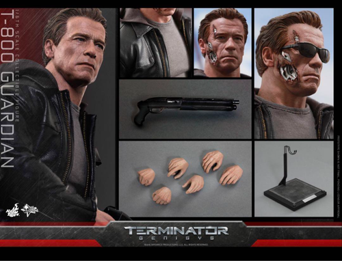 Hot Toys MMS307 Terminator T-800 Guardian Genisys 1/6 Figure Used Japan Rare - Picture 9 of 13