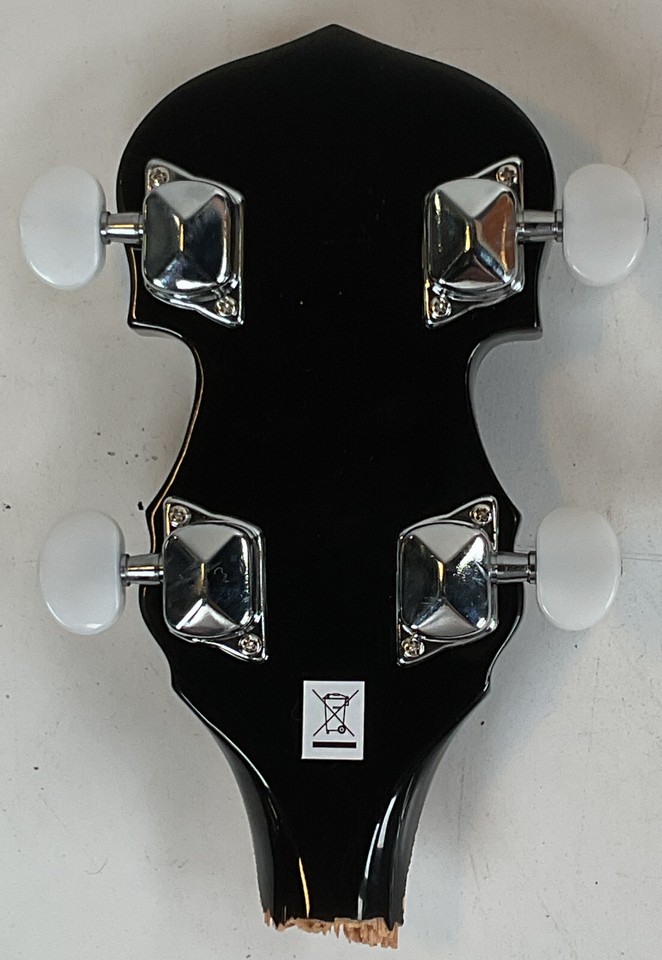 Washburn Americana B10 5-string Resonator Banjo - Snapped Off Headstock ...