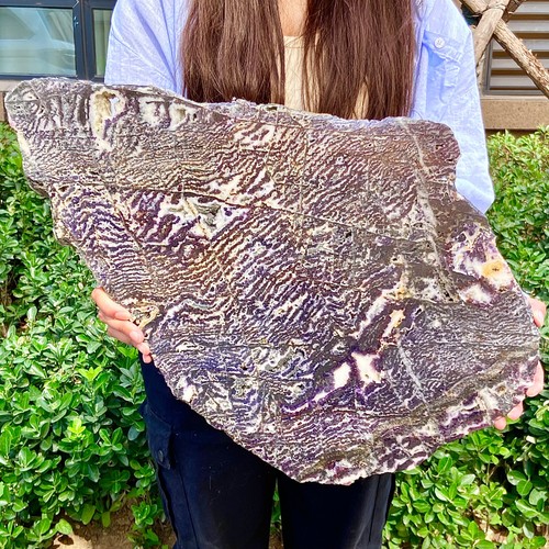 12.1LB Zebra Stone Slice - Rare Natural Striped Gemstone Collectible - 第 11/12 張圖片