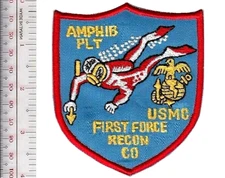US Marine Corps USMC Vietnam Combat Diver Force RECON Co Amphibious  NO TARIFF