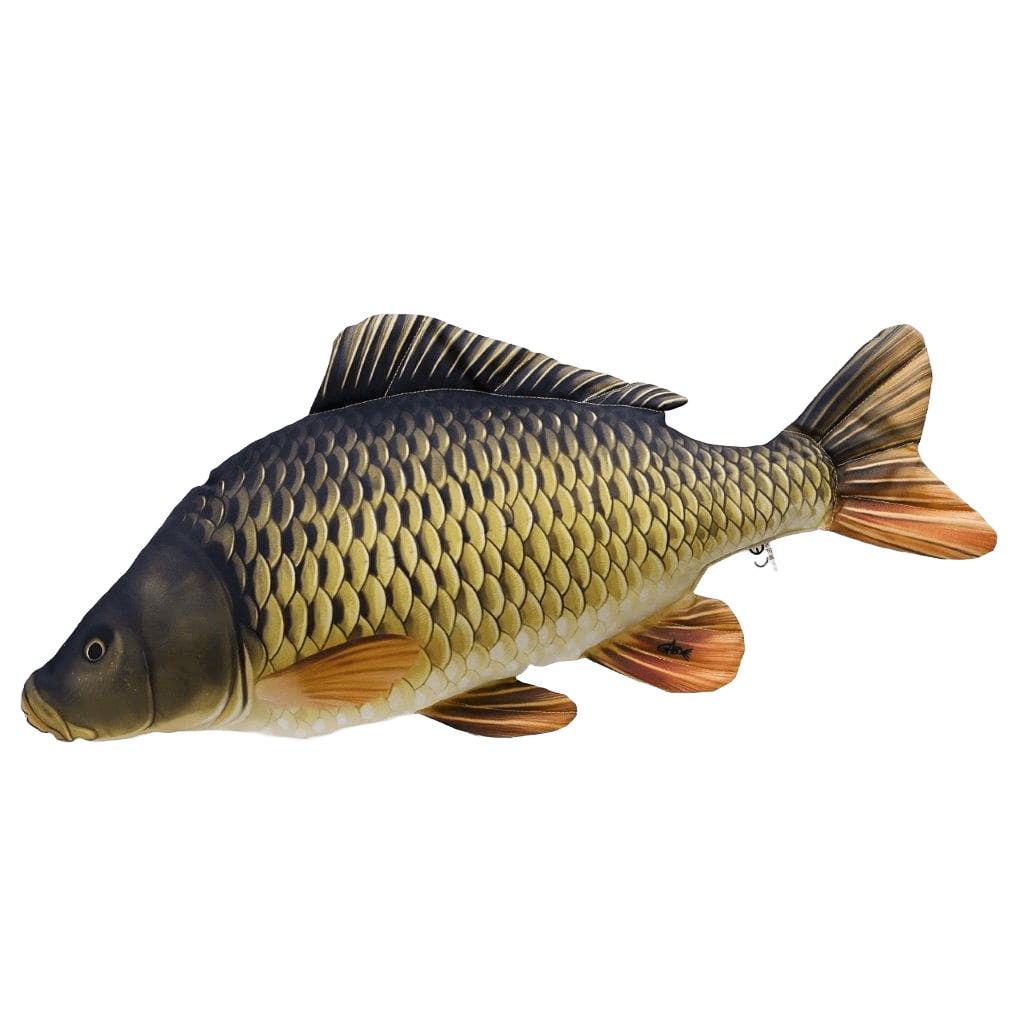 Gaby Fish Pillows Mini Common Carp Freshwater Fish Pillow Cushion 36cm