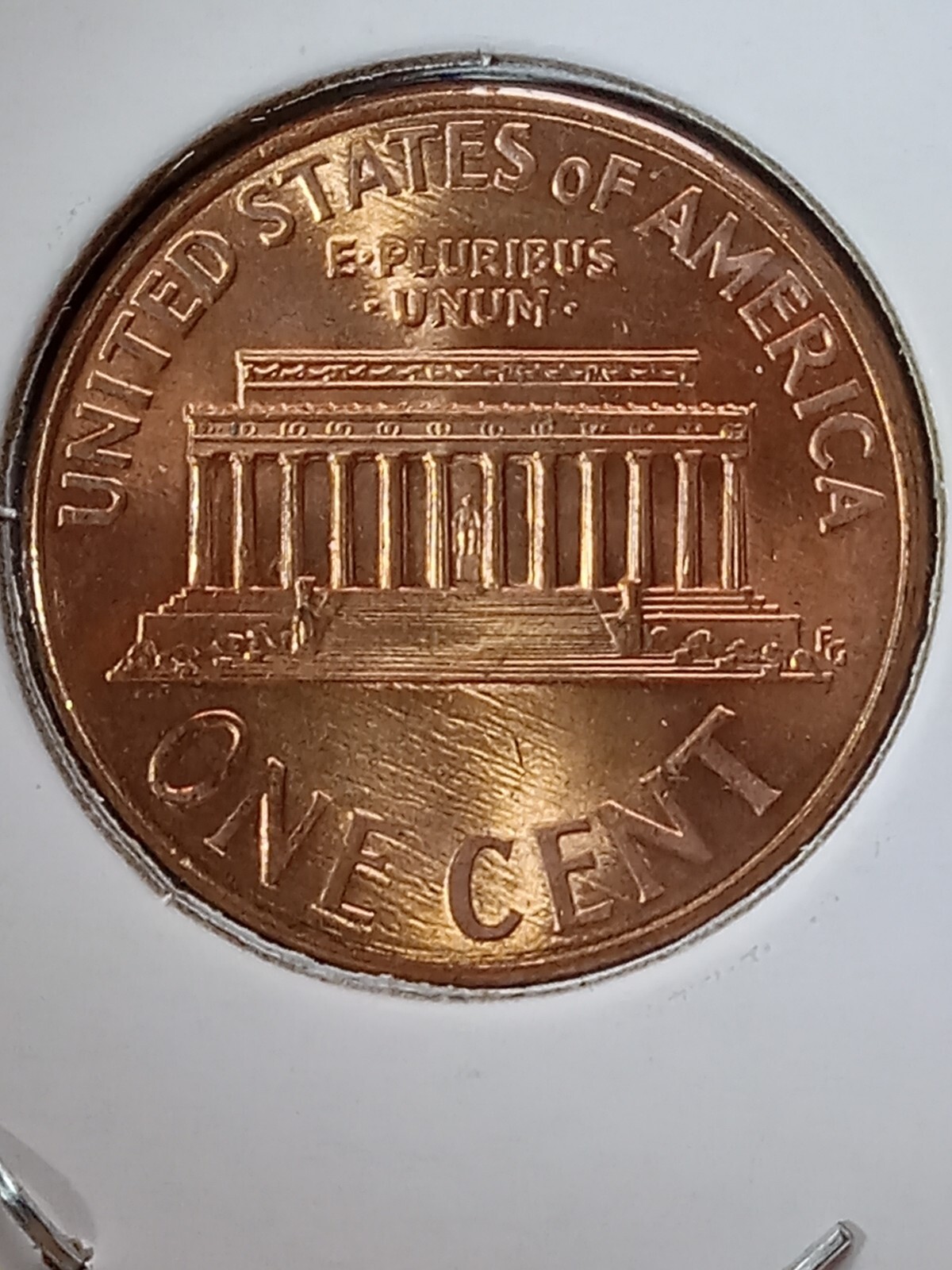 Picture 7 of 11
