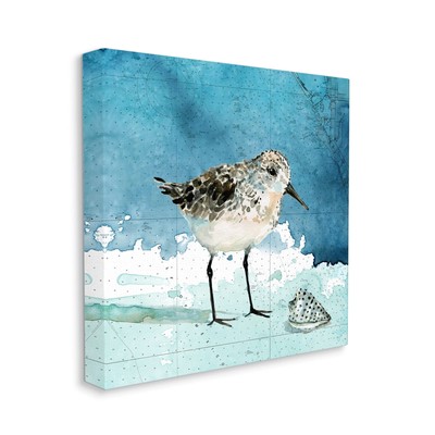 Sandpiper Bird and Shell Nautical Ocean Map, Designed by Carol Robinson Canva...