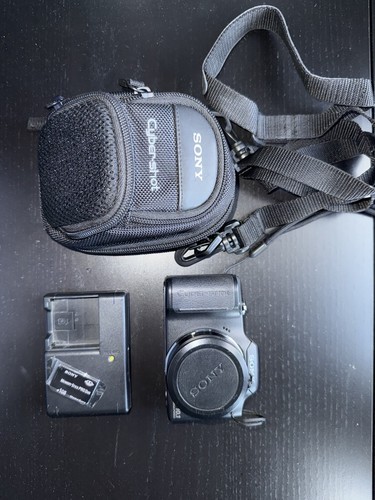 Sony Cyber-Shot DSC-H20 10.1MP Digital Camera With Charger + Carrying Case