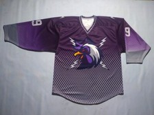 Purple Rooster Ice Hockey Jerseys and Socks in K12