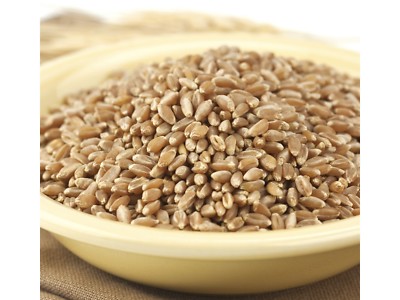 Montana 5 lb BRONZE CHIEF Wheat Berries Kernels Hard Red Spring Whole Grain BULK