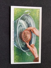 1938 Wills Garden Hints Card # 44 Watering Seeds or Seedlings (EX)