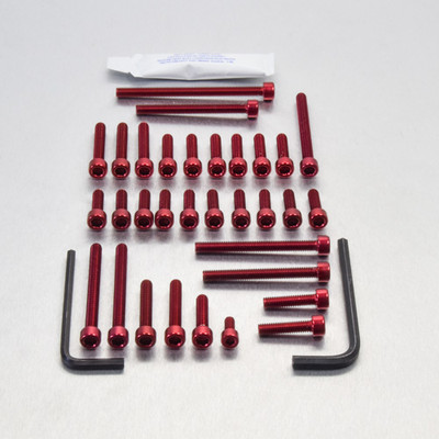 Kawasaki ZX900GP Race Spec Red Fastener Kit | eBay