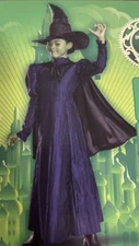 New Elphaba Deluxe Wicked Witch Musical Movie Halloween Child Costume small 6/6x