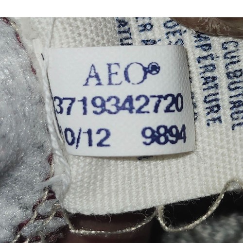 Sudadera con Capucha American Eagle AEO Gris Sherpa Forrada Gráfica TALLA PEQUEÑA - Imagen 3 de 11