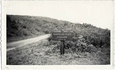 Vintage 1950's Photo of Wooden Hogwallow Flats Overlook Sign in Huntly Virginia