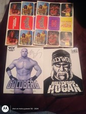 WCW WWF vintage 90's Sticker Lot 21 Wrestling Stickers