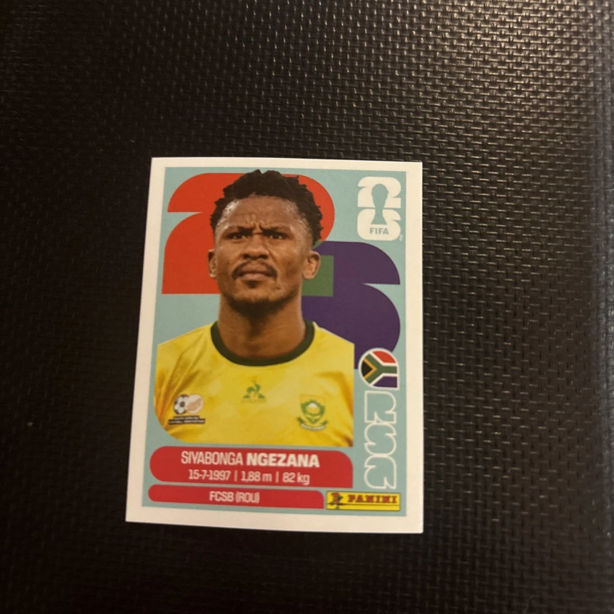 FIFA World Cup Soccer South African Sports Trading Cards