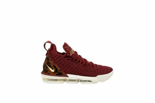 lebron 16 9.5
