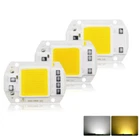 20W 30W 50W LED Floodlight COB Chip 110V/ 220V Input Integrated Smart IC Driver