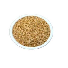 Foxtail Millet- Kangni -Natural,Organic Unpolished-Wholesome Grain FREE SHIP