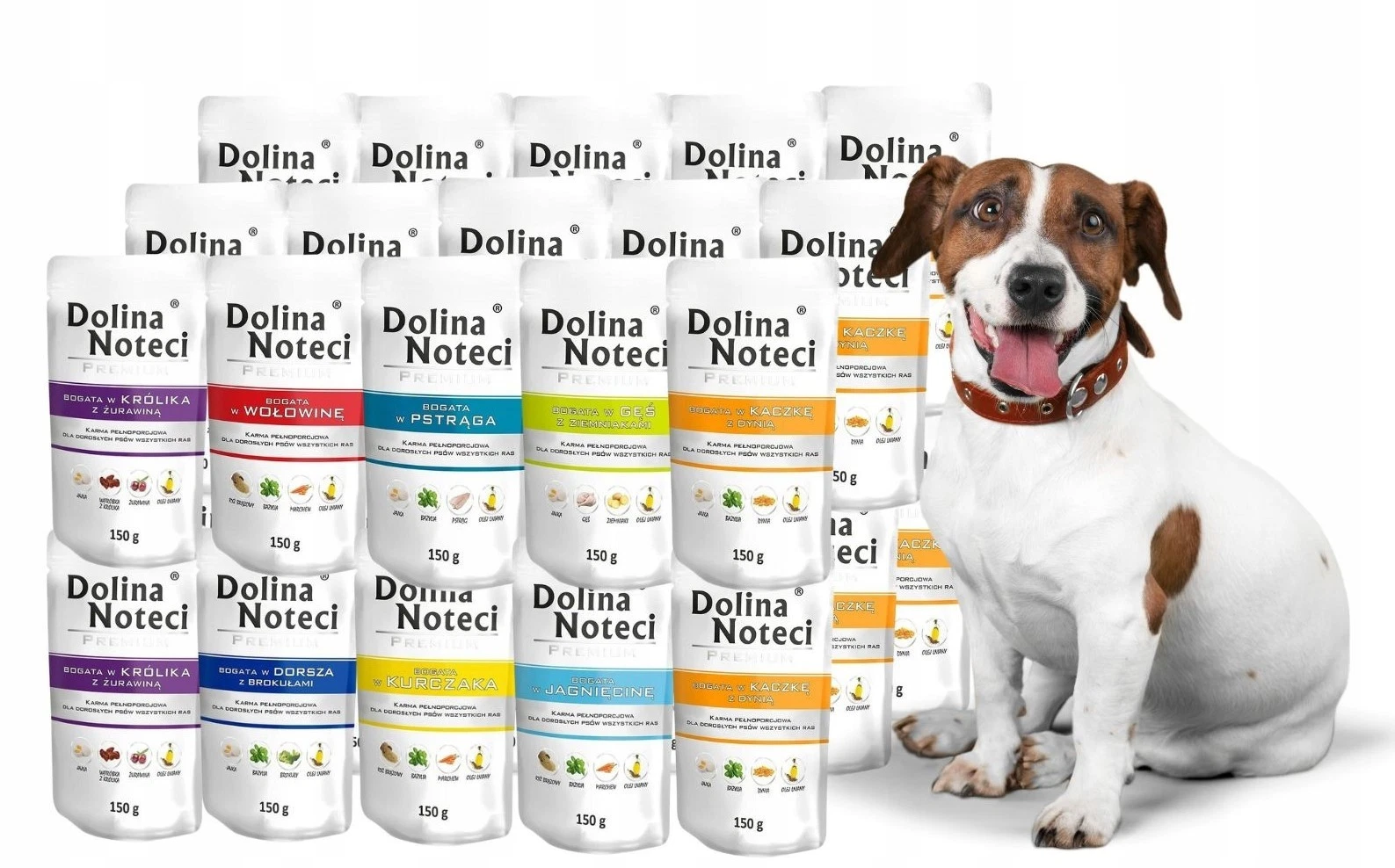DOLINA NOTECI PREMIUM Wet Dog FOOD 10 x 150g Nutritious Tasty MIX OF TASTE
Opens in a new window or