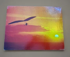 Springbok “Free Spirit” Jigsaw Puzzle Vintage Hang Glider Over 500 Pc COMPLETE