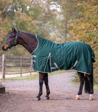 Outdoordecke Highneck Economic Waldhausen 200g Weidedecke Paddockdecke Clip in